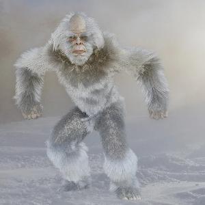 reinholdyeti